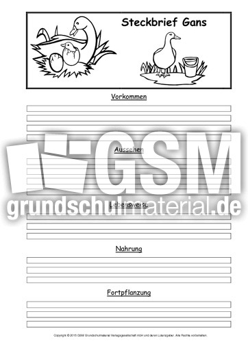 Steckbriefvorlage-Gans-2.pdf